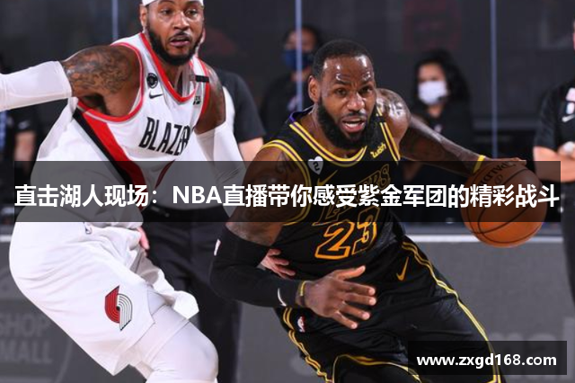 直击湖人现场：NBA直播带你感受紫金军团的精彩战斗